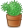 cactus icon