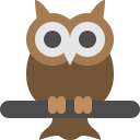 big, bird, eyes, night, owl, vision, wild svg vector icon