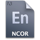 document, file, ncorproject icon