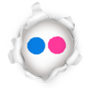 flickr icon