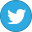 twitter,variation icon