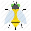 bee, fly, honey, insect icon
