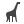 zoo icon