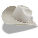 hat,cowboy,white icon