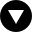 circledbordertriangledown icon