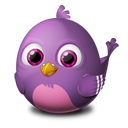 animal, bird, pidgin, twitter icon