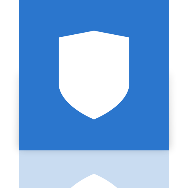 security,mirror icon