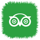 media, social, tripadvisor svg vector icon
