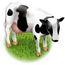downloads icon