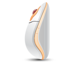 physiology icon