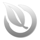 37 W icon
