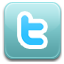twitter,social network,social,sn icon