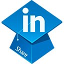 linkedin icon