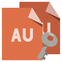 file,format,key icon