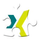 xing icon