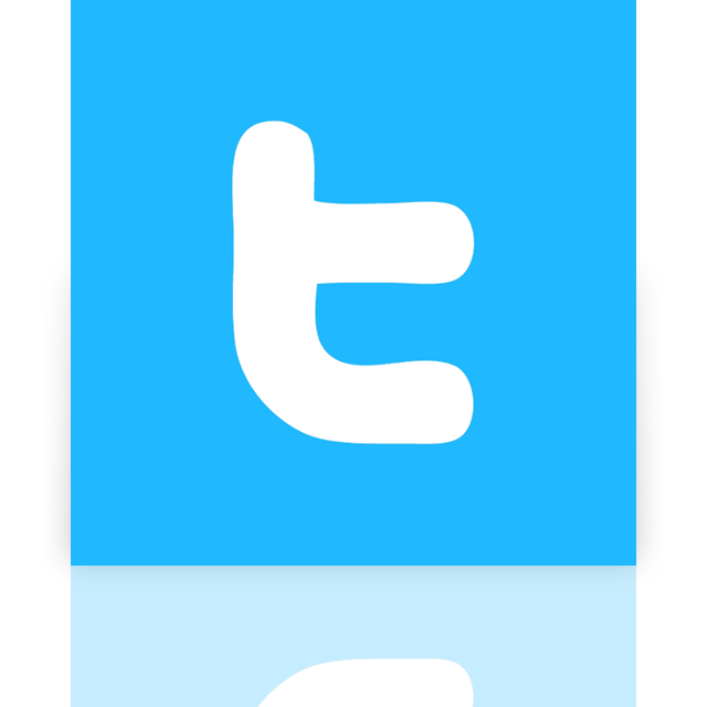 twitter,alt,mirror icon