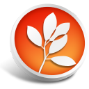 cs,standard icon