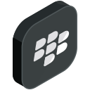 blackberry, communication, internet, media, network, online, social svg vector icon