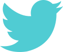 brand, logo, network, social, twitter svg vector icon