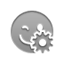smiley,wink,gear icon