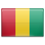 guinea icon