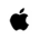 apple icon
