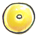 office, outlook icon