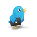 bird, twitter icon