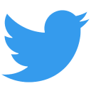 twitter,new icon