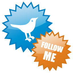 twitter,social network,social,sn icon