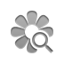 flower,zoom icon