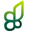 leaves, plant icon