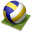 volleyball icon