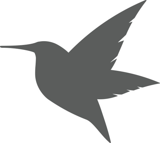 Cn Xunlei C svg vector icon