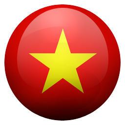 vn icon