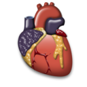 cardiology, heart, organ icon