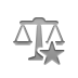 balance,star icon