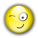 wink icon