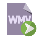 file,format,wmv,right icon