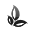 leaf icon