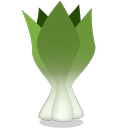 bok, choy icon