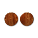 flickr icon