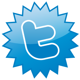 twitter,social network,social,sn icon