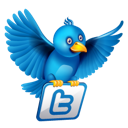 bird, twitter icon