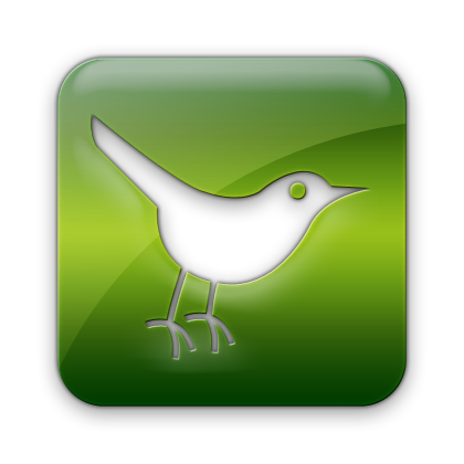 twitter,bird,square,animal,social network,social,sn icon