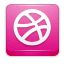 dribble icon