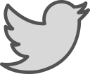 brand, logo, network, social, twiter svg vector icon