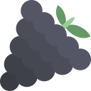 fruit, grapes svg vector icon