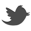 twitter icon