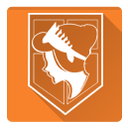 shinkgeki no kyojin, wall sina icon